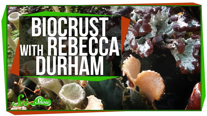 SciShow Talk Show: Biocrust with Rebecca Durham