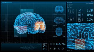 BCI Award 2023 Nomination - Memory enhancement through brain state-dependent magnetic stimulation