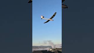 Parkzone Radian Pro - an Early Morning Flight #rcplane