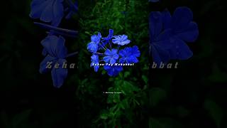 Download Lagu Homa Dol Song Lyrics | Aesthetic Status | New | Lofi | 4k Video | #shorts#shortsfeed#lyrics#trending MP3 Download Lagu Homa Dol Song Lyrics | Aesthetic Status | New | Lofi | 4k Video | #shorts#shortsfeed#lyrics#trending MP3