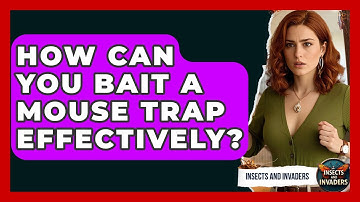 How Can You Bait A Mouse Trap Effectively? - Insects and Invaders
