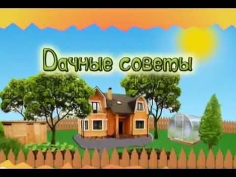 Дачные советы Галины