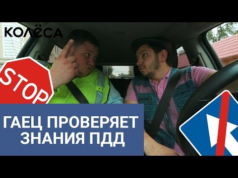 Гаец проверяет знания