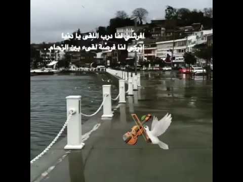 افرشي لنا درب اللقا يادنياواتركي لنا فرصه لقاء بين الزحام 