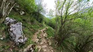 PONCEBOS, BULNES, COLLADO DE PANDÉBANO. EN EL PARQUE NACIONAL DE PICOS DE EUROPA. ASTURIAS. ESPAÑA.