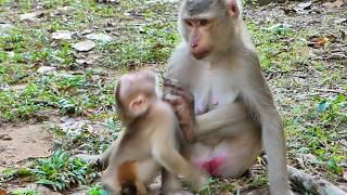 It's wrong action of mom Libby kick out to her Lily from her chest need milk |