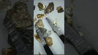 Mica compared to gold #crystals #minerals #history #natur #gemstone #gold e #science #fishing