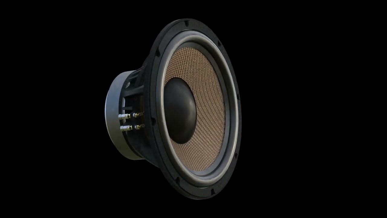 Revival Audio Technology - 12 inch BSC woofer