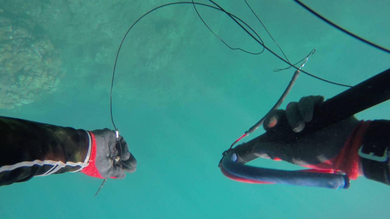 OAHU, HAWAII Spearfishing Ko Olina Dec 2015 YouTube