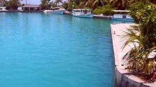 Arriver Au Sun Island Maldives