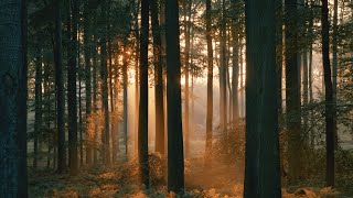 Safe Space Visualisation | mynd app screenshot 2