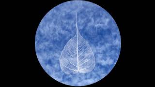180311 Hurtful Words \ \ Thanissaro Bhikkhu \ \ Short Dhamma Talk
