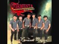 La Cucaracha--Tormenta De Durango