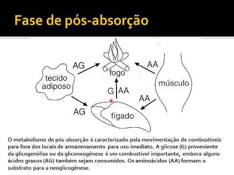 Vídeo: Os Vírus Aprenderam A Controlar O Metabolismo De Suas Vítimas - Visão Alternativa