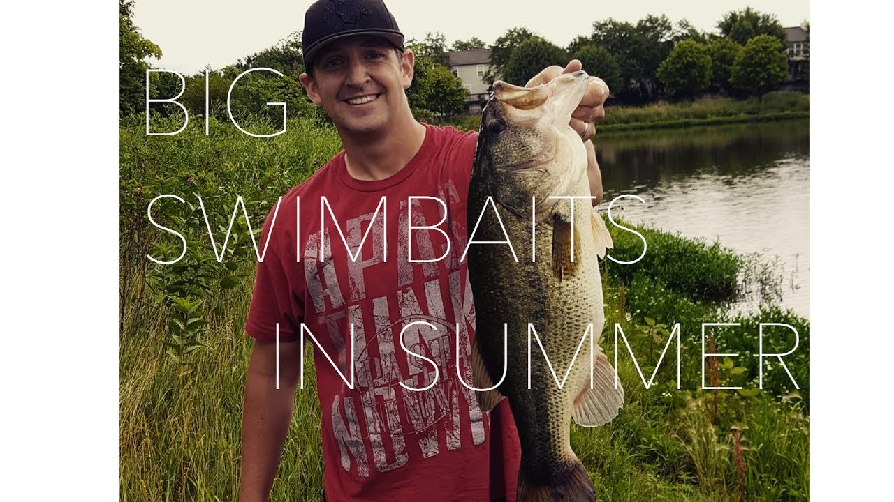 BIG BASS with BIG SWIMBAITS in the Summer!