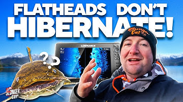 How To Use 2D Sonar To Find Flatheads In The Winter!