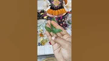 शिवलिंग पर बेलपत्र चढ़ाने का तरीका #pradeepmishraji #mhadevbhakt #shivmahapurankatha #shivling