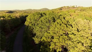 303 Healing Springs Drive for sale in Denton, NC 27239 - Residential