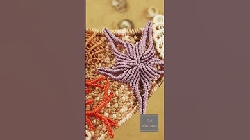 Knot by Knot: Creating Coral Reef Magic | Micro Macrame Art