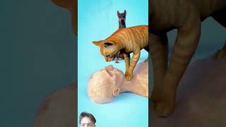 FactsDaily  #RealFacts  #HiddenFacts  #UnknownTruth  #FactWorld#FactZone  #FactTime#noads#sehar