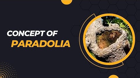 Exploring the Fascinating World of Pareidolia