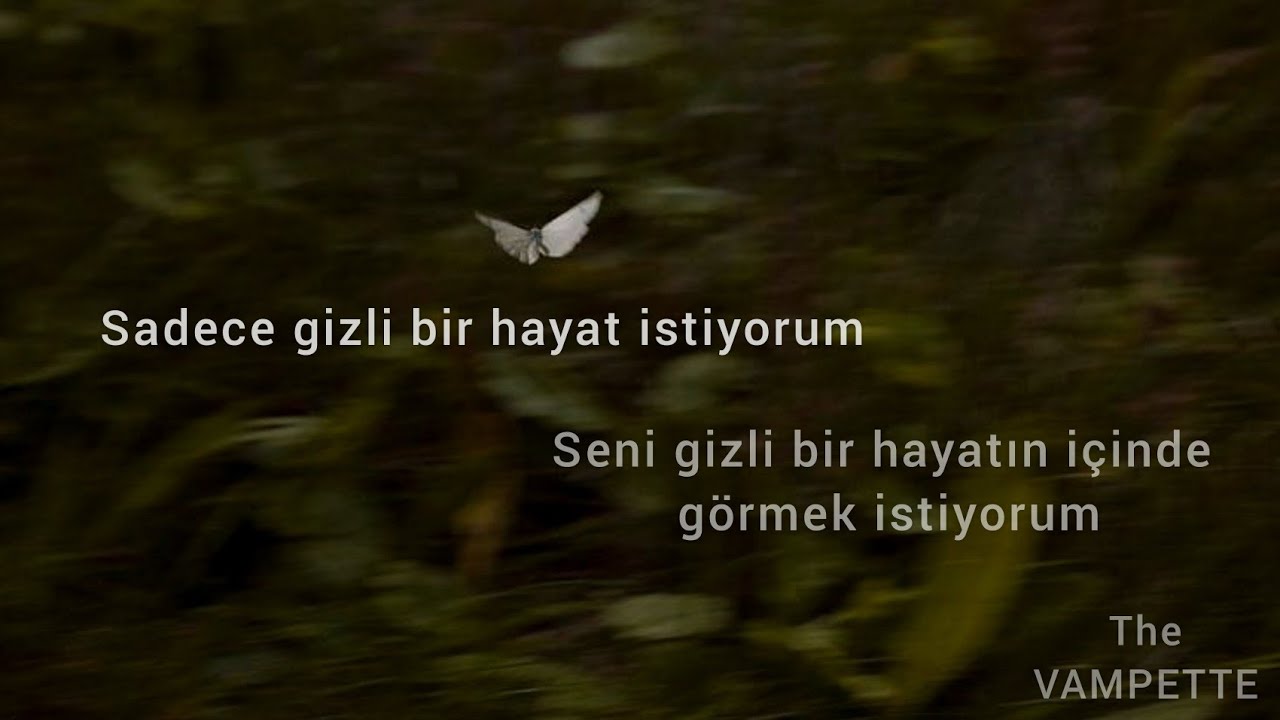 Bleachers & Lana Del Rey Secret Life (Türkçe Çeviri) YouTube