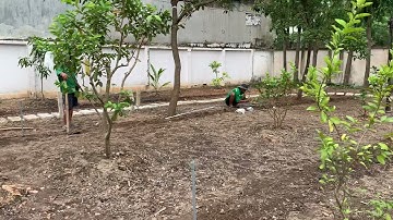 Đi hệ thống tưới 360 độ cho sân vườn