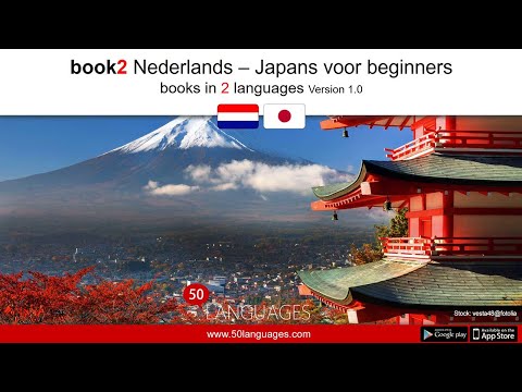 Japans voor beginners in 100 lessen