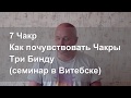 7 Чакр. Как почувствовать Чакры. медитация для начинающих