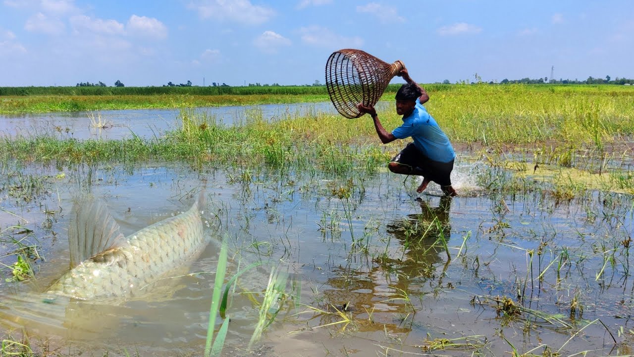 Polo fishing - Traditional fish catching with polo - Amazing polo ...
