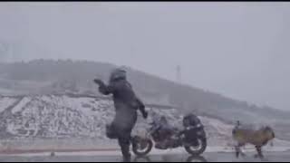 Biker Dancing With His Dog