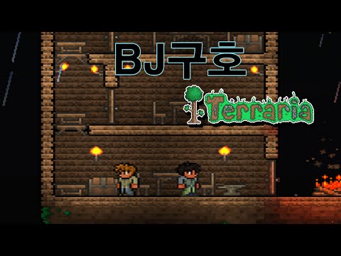 BJ구호 테라리아 플레이영상 3