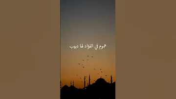 إلهي أنت تعلم كيف حالي مشاري العفاسي 