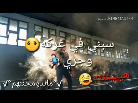 حالات واتس سبع فركات مجننهم