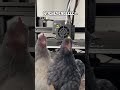 #lustig #lust ##lustigevideos #funny #funnyvideo #funnyshorts #3dprint #3ddruck #3dprinting