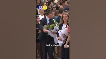 Proposed gun law talks underway | 9 News Australia