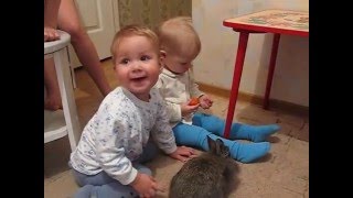 Приколы 2016г. Как научить детей есть овощи. Славные милашки. Кормим кролика. children Приколы 2016г. Как научить детей есть овощи. Славные милашки. Кормим кролика. children