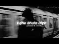 Tujhe Bhula Diya Slowed Reverb Fire Nation Music