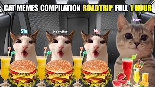 Cat Memes Compilation Roadtrip Full 1 Hour