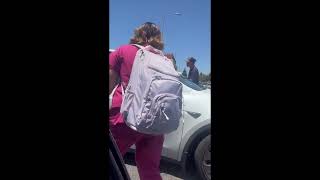 Bystanders Step in to Stop Suspect Attempting to Carjack a Tesla in Los Angeles