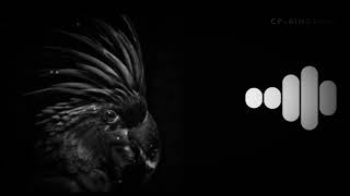 New Arabic Ringtone 2021 Best English Ringtone Attitude Ringtone 2021 Download links Description👇 screenshot 5