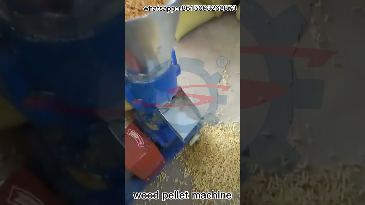 Wood Pellet Mill: Turning Wood Waste into Sustainable Energy！