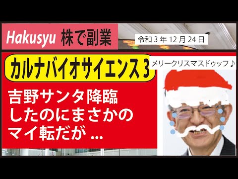【Hakusyu株で副業】カルナバイオサイエンス3  吉野サンタ降臨したのにまさかのマイ転だが...