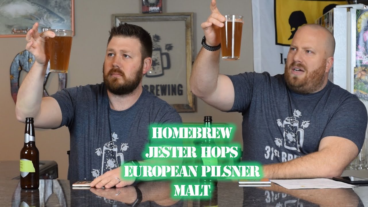 Easy recipe for making beer at home | SMaSH All Grain Jester and European Pilsner Malt