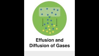Effusion And Diffusion Of Gases