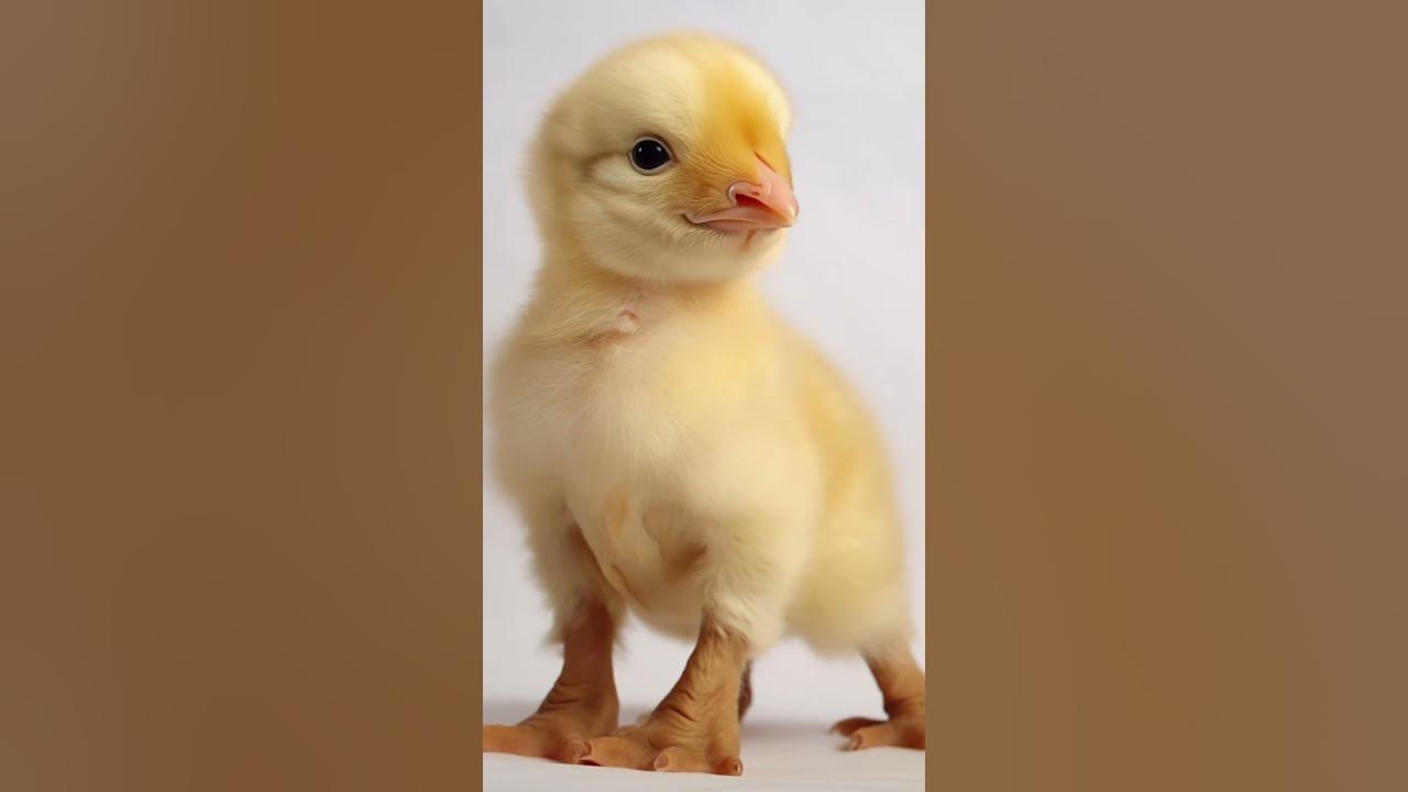 Asking ai to mix animals together youtube