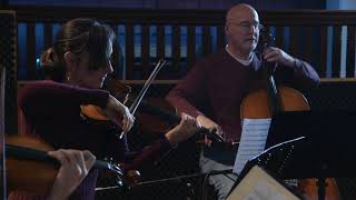 Ralph Vaughan Williams: Phantasy Quintet (viola quintet) - Cuatro Puntos Ensemble Net Worth