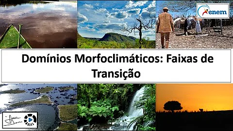 O que significa faixa de transição resumo?