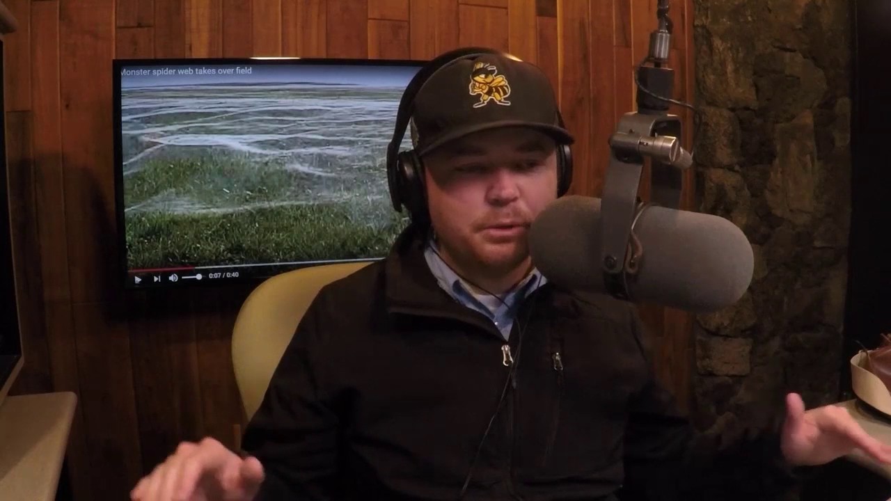 Thousands of Spiders Cover New Zealand Field