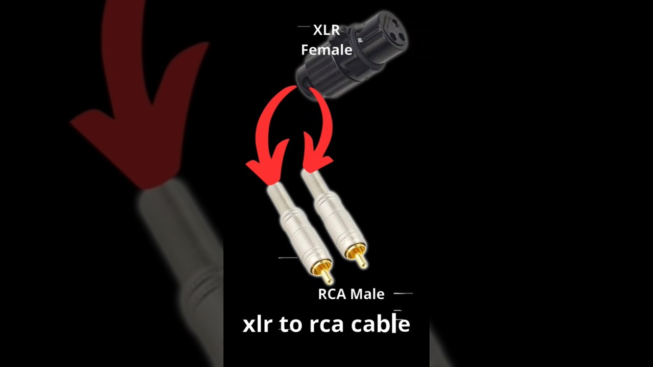DIY xlr to rca cable wiring diagram: Easy Audio Connection 